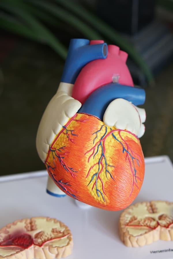 Emergency & Critical Care